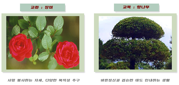 학교상징 - 교화 및 교목